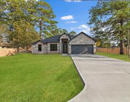 20946 Sand Springs Trail, Crosby image