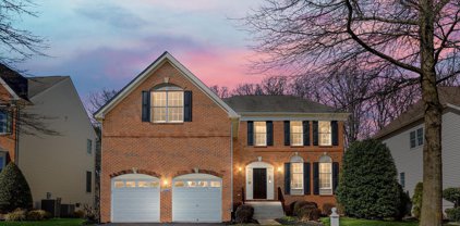 20145 Boxwood Pl, Ashburn