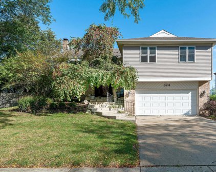 824 W Appletree Lane, Bartlett