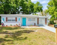4710 Murray Hill Drive, Tampa image