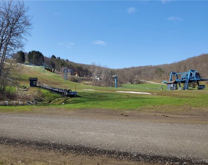131-136 Woods Rd-The Woods, Ellicottville-043689