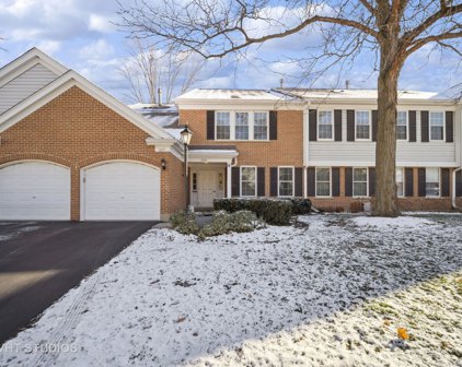 509 Loch Lomond Lane Unit #D, Prospect Heights