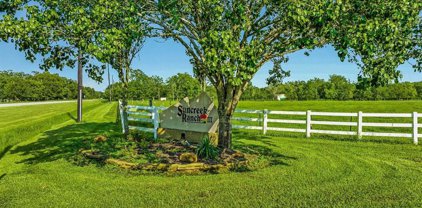 2310 Majestic Oaks Court, Rosharon