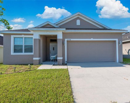 30798 Water Lily Drive, Brooksville
