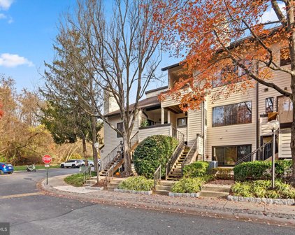 10062 Hellingly Pl Unit #268, Montgomery Village