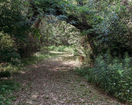 00 County Road 348, Brazoria