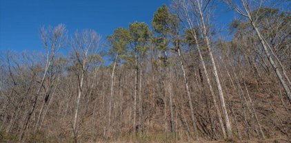 6 ACRES State Road 68, Collinsville