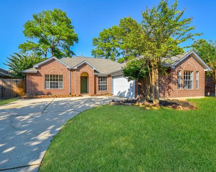 22326 Hollybranch Drive, Tomball
