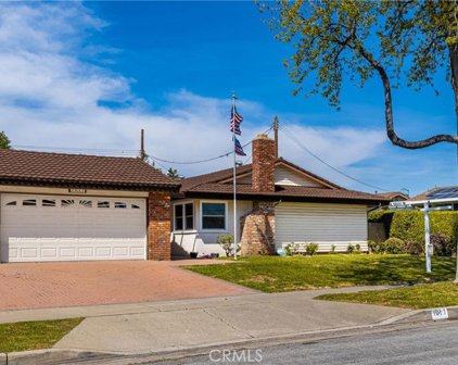 1011 E Chestnut Avenue, Orange