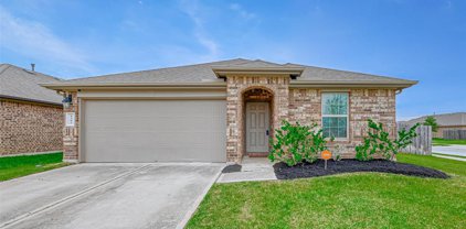 8202 Ivy Wood Court, Rosharon