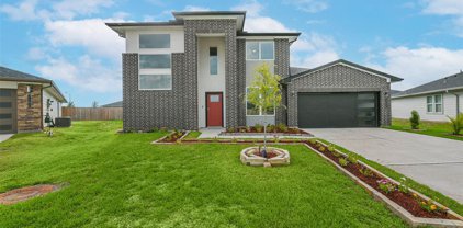 1722 Tranquility Drive, Rosenberg