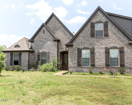 3046 Pinetree Loop North Cove, Southaven