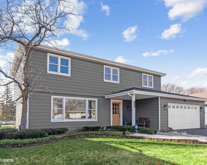 705 E Charles Street, Arlington Heights
