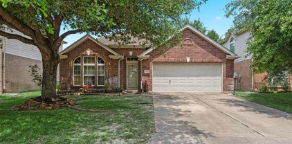 11722 Berkway Trail, Houston
