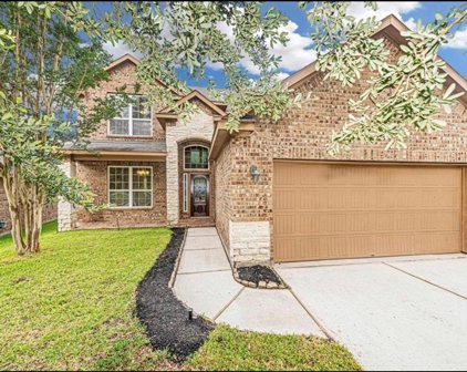 210 Black Swan Place, The Woodlands