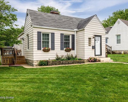 311 Birch Ave, La Grange