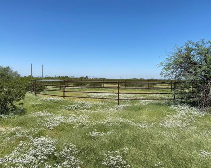 W Scrub Brush, Marana