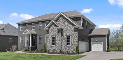 1387 Moonlight Trl, Brentwood