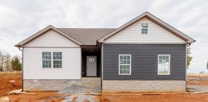 1175 Boulder Pass, Clarksville