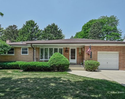 306 S Forrest Avenue, Arlington Heights