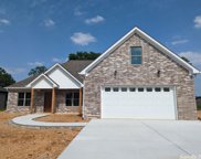 7036 Fields, Benton image