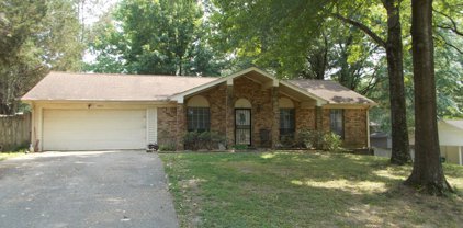 4821 S Big Horn Drive, Nesbit