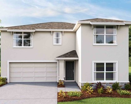 2843 Gumbo Limbo Drive, Wimauma