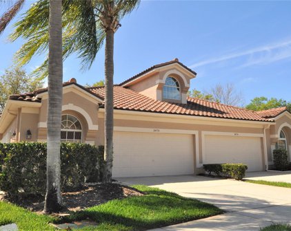 3870 Timber Ridge Court, Palm Harbor