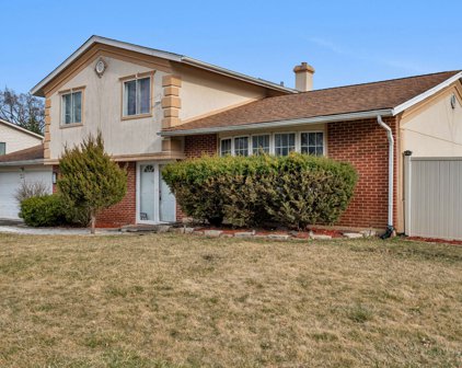 201 Winston Drive, Bolingbrook
