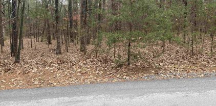 Lot 109 Tannenbaum, Drasco