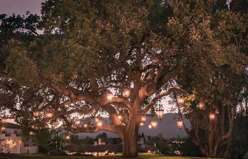 oak view Ojai homes