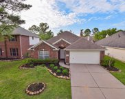 20422 Willow Trace Drive, Cypress image