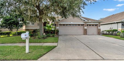 31604 Bearded Oak Drive, Wesley Chapel