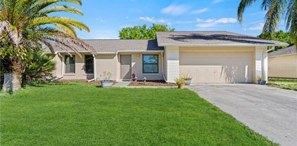 15745 Coral Vine Ln, Fort Myers