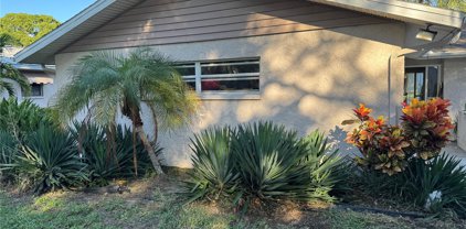 1004 Peninsula Avenue, Tarpon Springs