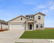 361 Hortus Drive, Kyle image