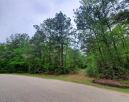 1.25 Acres Crystal Springs Drive, Conroe image