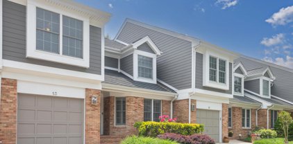 13 Raisin Tree Cir, Pikesville