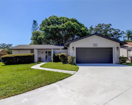 2800 Oak Tree Court, Palm Harbor