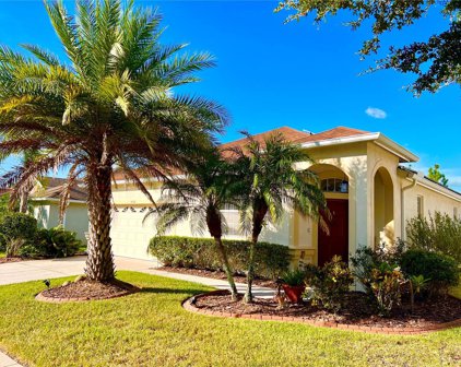 4106 Langdrum Drive, Wesley Chapel
