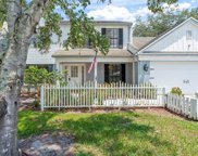 3728 Murray Dale Drive, Valrico image