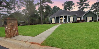 151 Hearthstone Drive, Leesburg