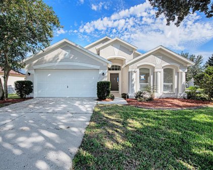 19918 Ellendale Drive, Land O' Lakes