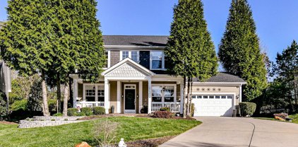 10341 Misty Moss  Court, Mint Hill