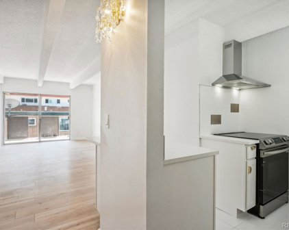 1265 Race Street Unit 302, Denver