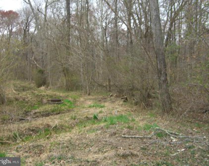 Bonnie Lane, Waldorf