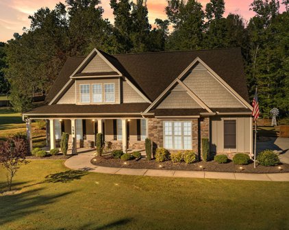 150 Wills Run Drive, Senoia