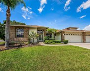 12039 Walstone Court, Trinity image