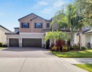 13327 Orca Sound Drive, Riverview image