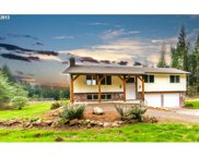 24011 NE MARGARET RD, Brush Prairie image